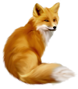 Secret Life of Fox Tail - Final Chapter 